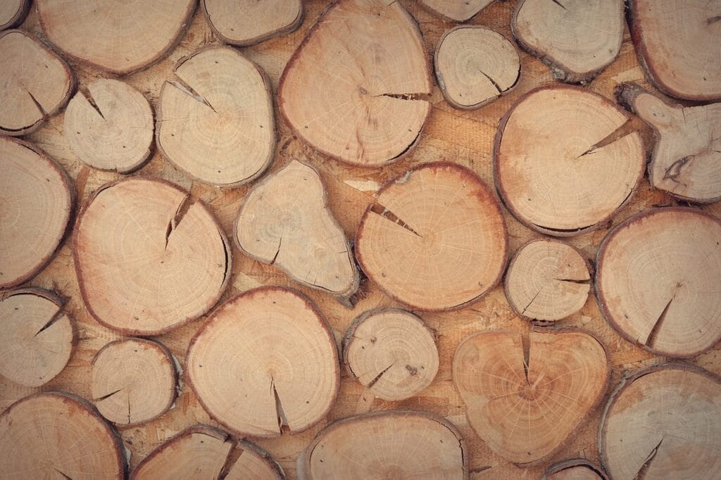 A close-up view of stacked, cut tree logs showing rings and cracks on the cross-sections—perfect wood cutout material for a creative DIY Father’s Day project.