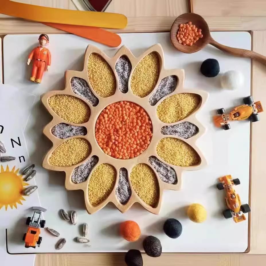Small Wooden tray filled with various grains and legumes. Sensory play toy.