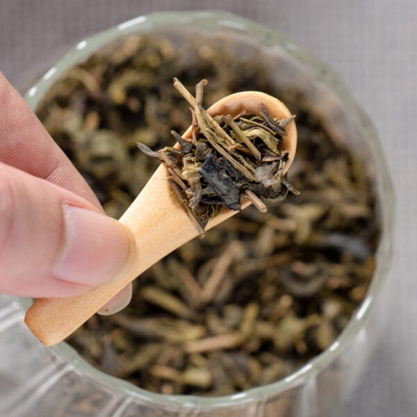 Wholesale mini wooden spoon filled with loose leaf green tea. Perfect for tea ceremonies or sampling.