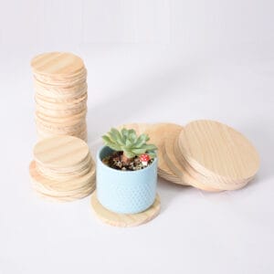 Stack of round wooden coasters with succulent plant