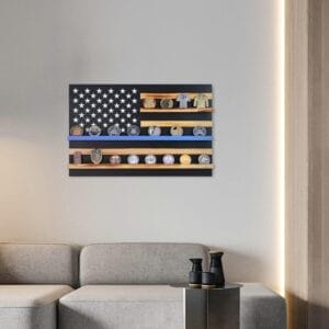 AUTO-DRAFT American flag coin display with blue line, showcasing collectible coins
