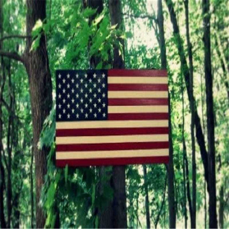 Handmade wooden American flag mounted on a tree trunk in a forest setting