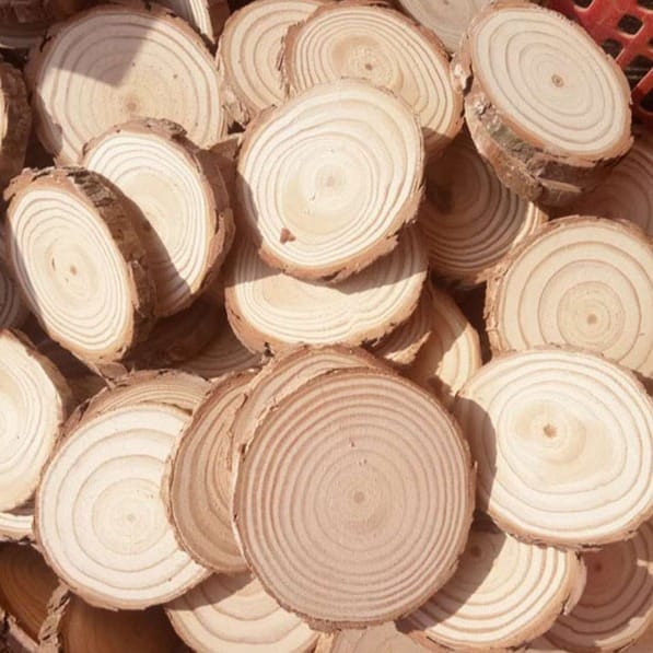 AUTO-DRAFT: Pile of small wood slices with bark and tree rings for crafts