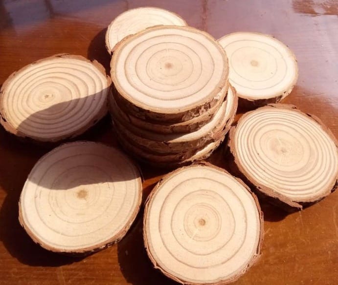 Wood slices with bark edges, natural tree rings visible, rustic craft supplies.