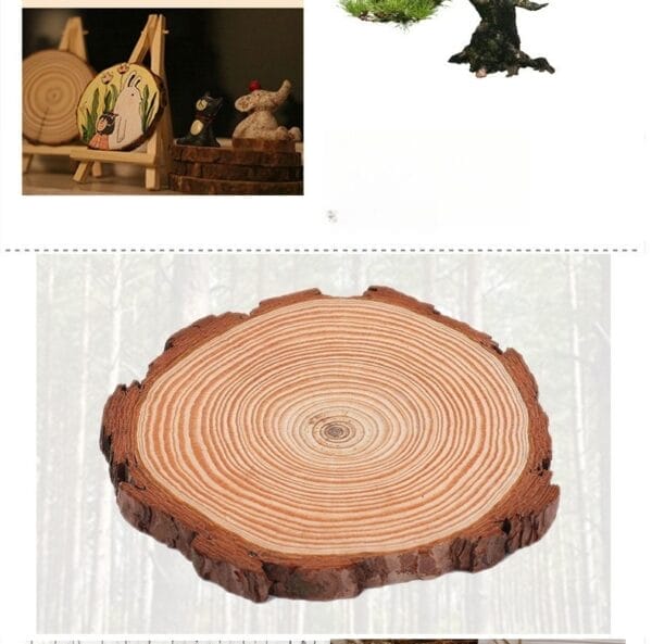 AUTO-DRAFT: Round wood slice showing natural tree rings and bark edge