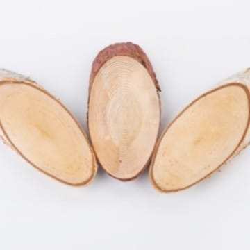 AUTO-DRAFT: Three oval wood slices showing natural tree growth rings