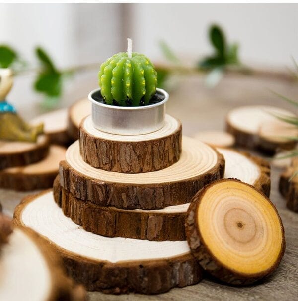 Cactus candle in tin on wood slices. Rustic decor.