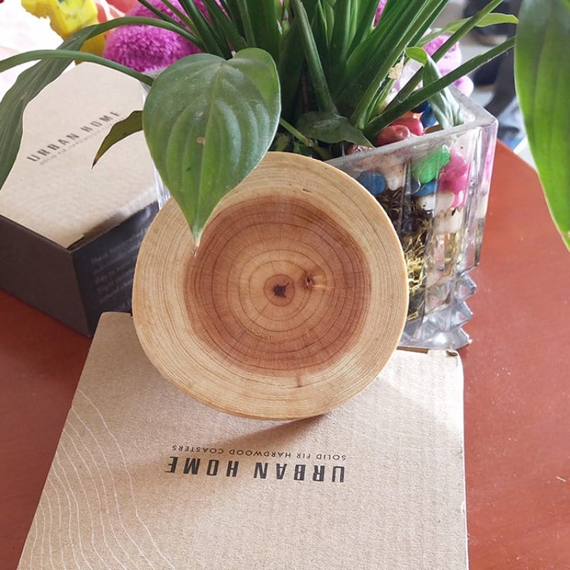 URBAN HOME SOLID FIR HARDWOOD COASTERS: Rustic natural wood coasters on packaging, next to plant.