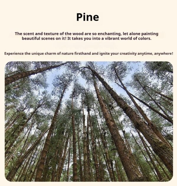 Looking up at tall pine trees reaching for the sky in a dense forest.
