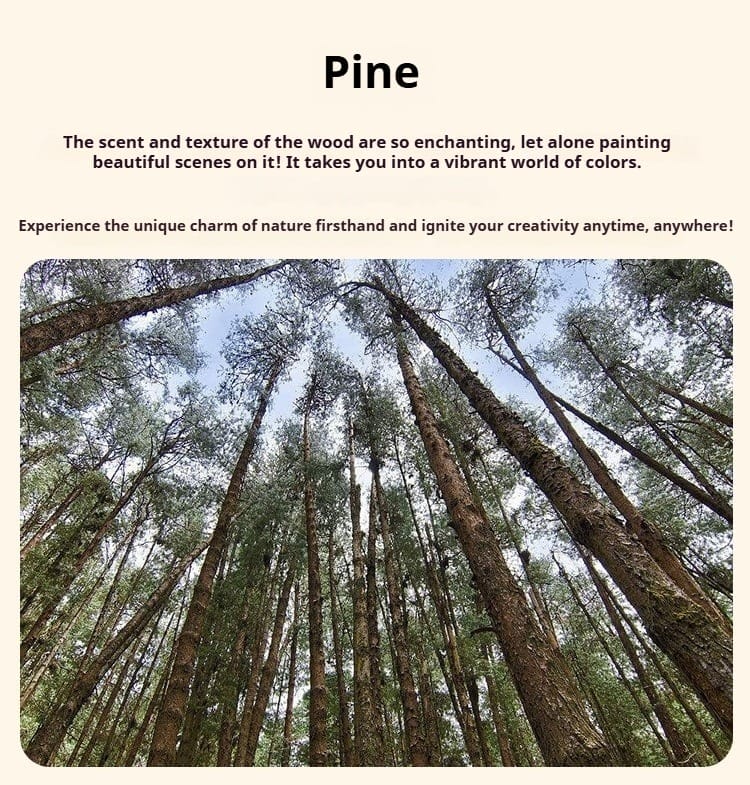 Looking up at tall pine trees reaching for the sky in a dense forest.