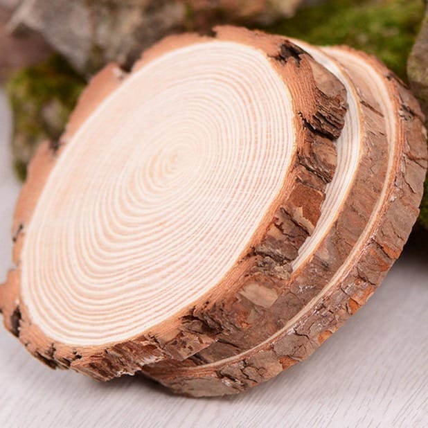 Rustic wood slices with bark edges, ideal for crafts or rustic decor