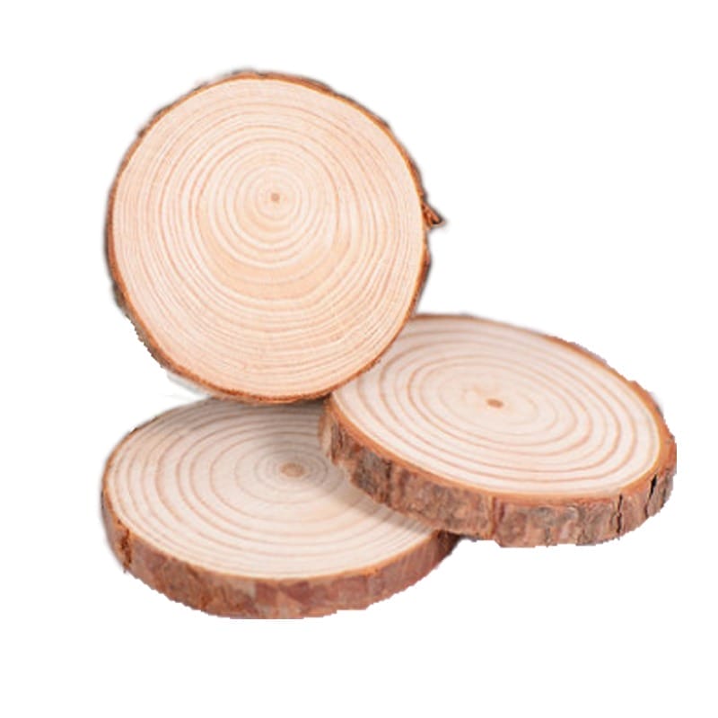 Three natural wood slices with visible tree rings and bark edges.