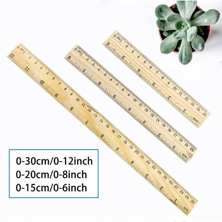 Wooden rulers set: 30cm, 20cm, 15cm lengths, plus succulent. School, office, measuring tools.