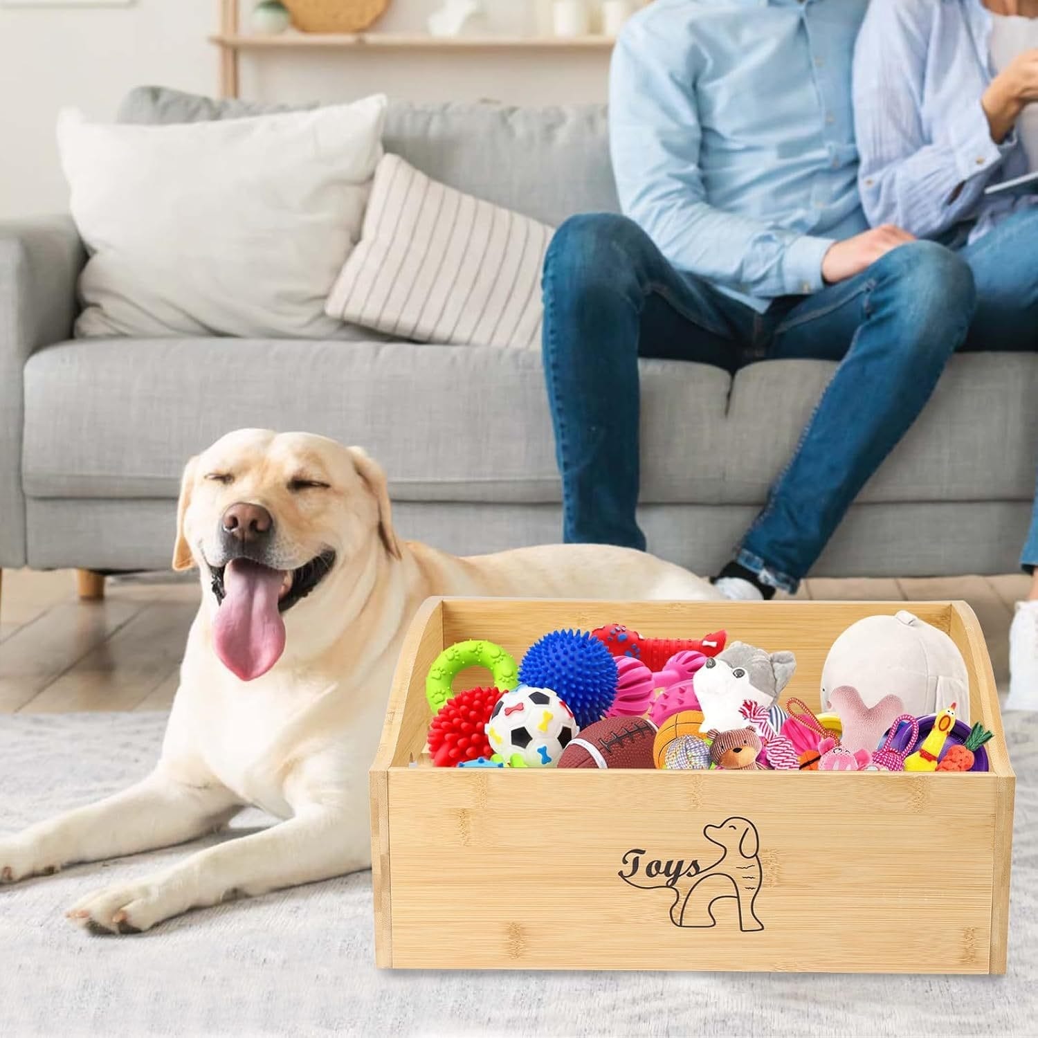 Happy dog beside a wooden toy box overflowing with colorful dog toys.