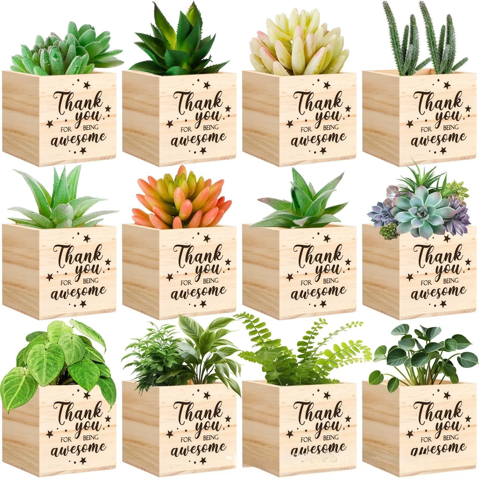 Succulent plants in wooden pots with "Thank you for being awesome" message, perfect for gifts or decor.
