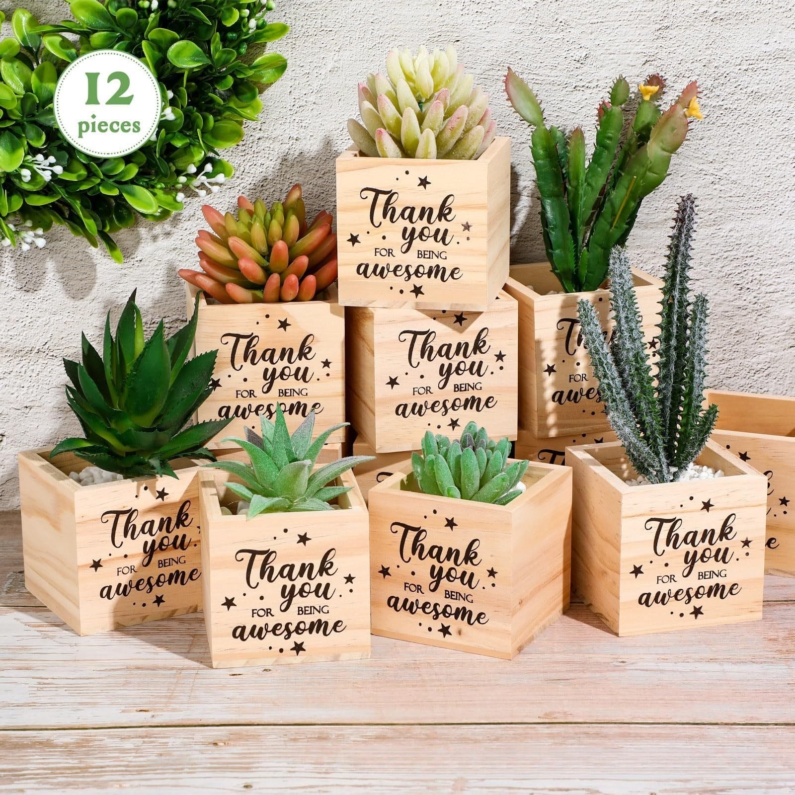 Wooden pots with succulents, each displaying "Thank you for being awesome," ideal for gifting