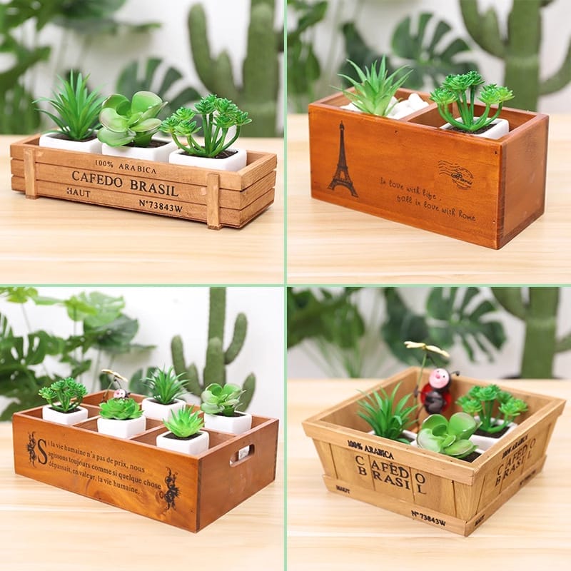 Artificial succulents in rustic wooden planters. "CAFEDO BRASIL" text visible.